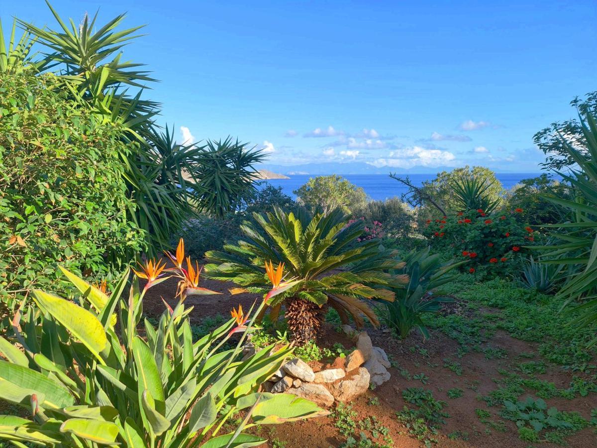 Tilos Villa Livadia  Ngoại thất bức ảnh